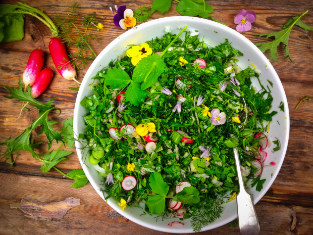 parsley and fennel salad