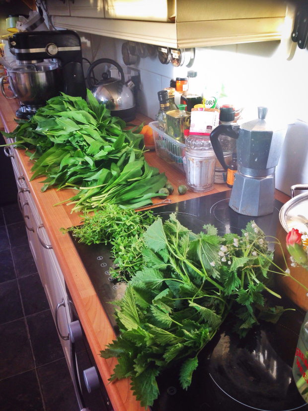 a kitchen full of foraged wild garlic, nettles, goose grass and chickweed